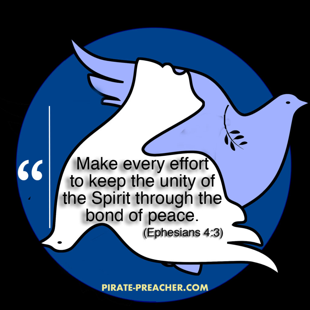 Make every effort to keep the unity of the Spirit through the bond of peace. (Ephesians 4:3)
